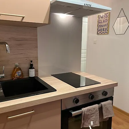 St Dominique - T2 Cosy Avec Parking 公寓 *