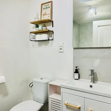 Apartament St Dominique - T2 Cosy Avec Parking Lourdes