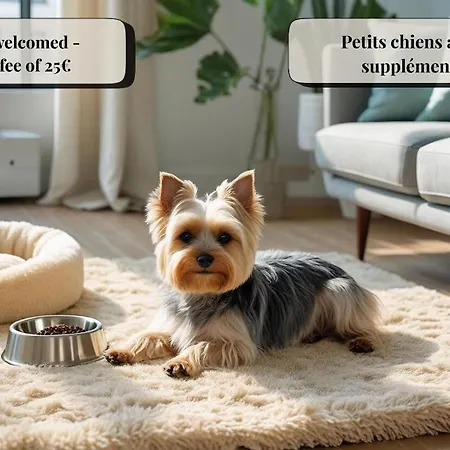 St Dominique - T2 Cosy Avec Parking 卢德