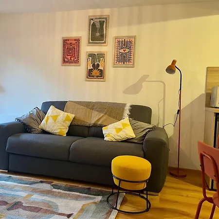 St Dominique - T2 Cosy Avec Parking Apartament