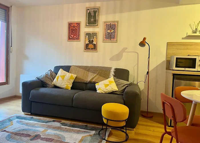 St Dominique - T2 Cosy Avec Parking Apartament