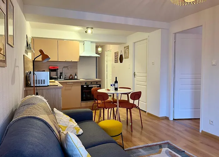 St Dominique - T2 Cosy Avec Parking Apartament